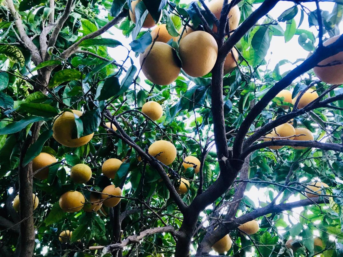 Casa Amigos Sorvilan - La Almendra Εξωτερικό φωτογραφία