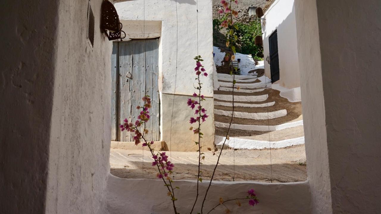 Casa Amigos Sorvilan - La Almendra Εξωτερικό φωτογραφία
