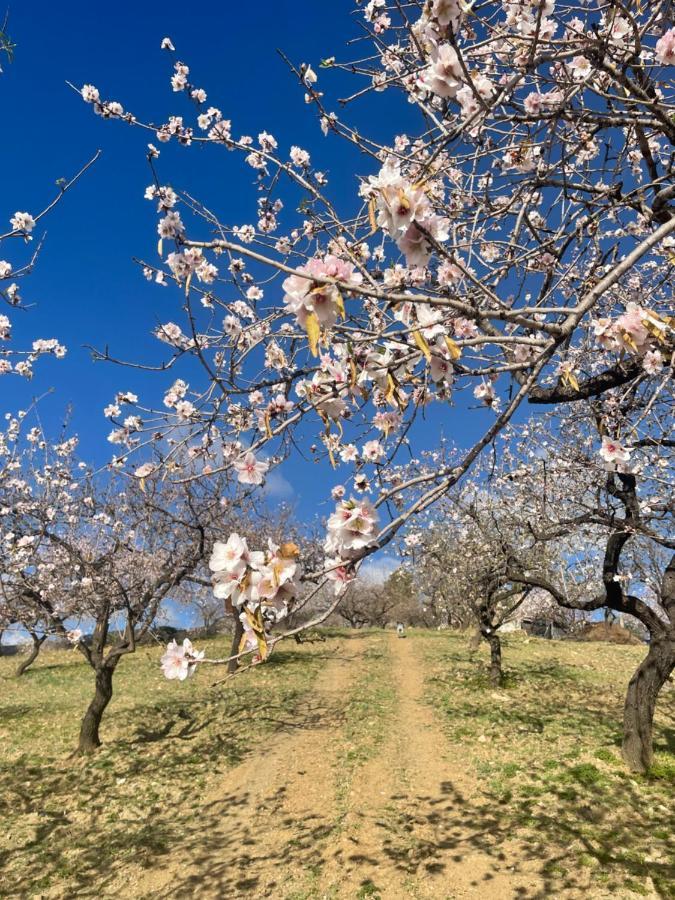 Casa Amigos Sorvilan - La Almendra Εξωτερικό φωτογραφία