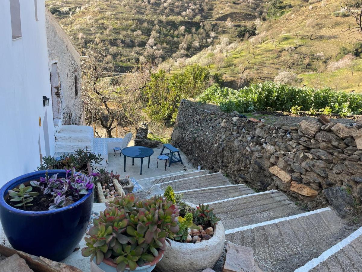 Casa Amigos Sorvilan - La Almendra Εξωτερικό φωτογραφία